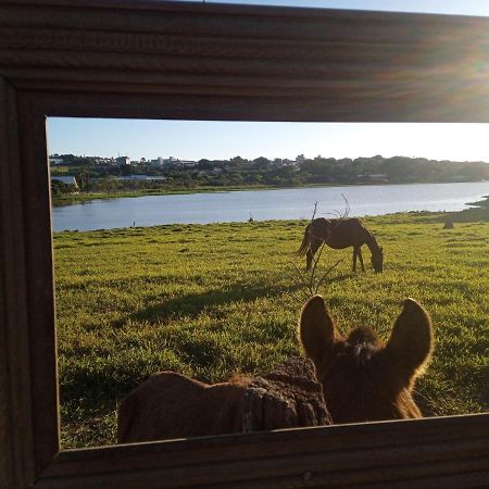 Hostel Santuario De Protecao Animal Filhos De Salomao Браганса-Паулиста Экстерьер фото