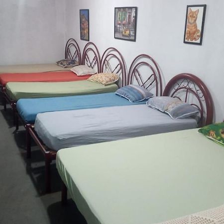 Hostel Santuario De Protecao Animal Filhos De Salomao Браганса-Паулиста Экстерьер фото