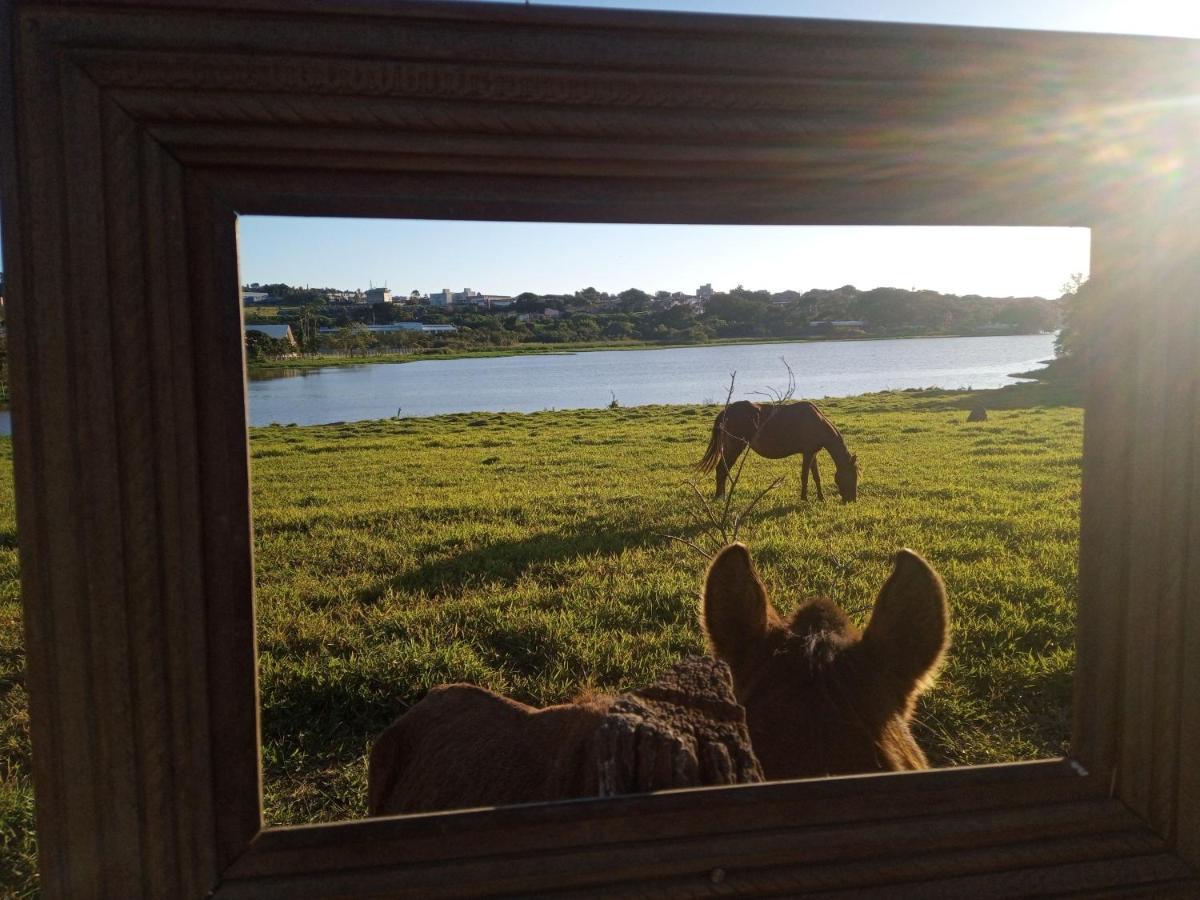 Hostel Santuario De Protecao Animal Filhos De Salomao Браганса-Паулиста Экстерьер фото