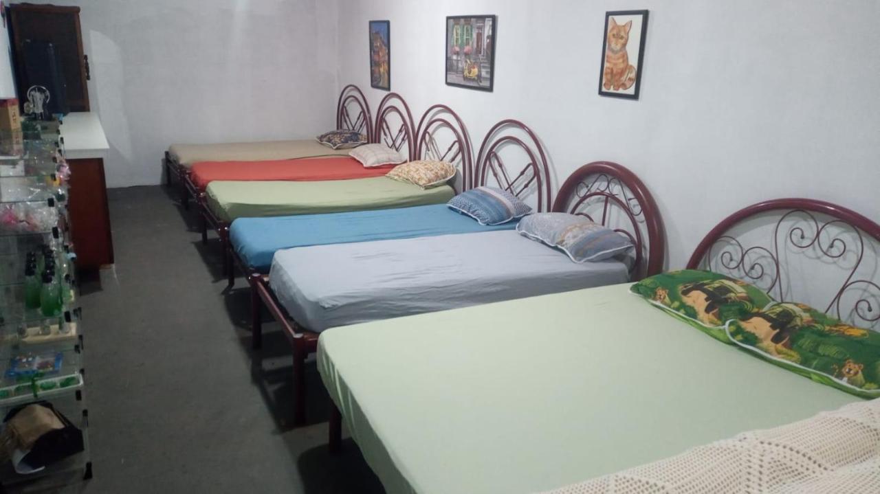 Hostel Santuario De Protecao Animal Filhos De Salomao Браганса-Паулиста Экстерьер фото