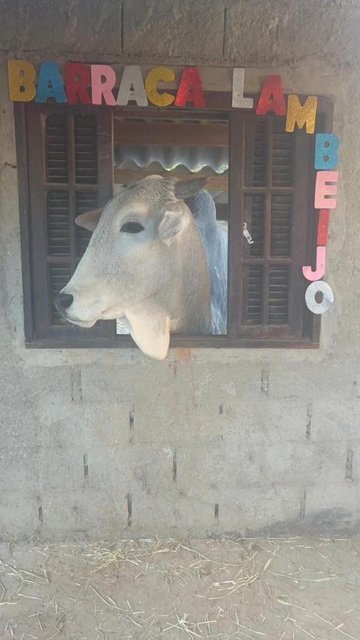 Hostel Santuario De Protecao Animal Filhos De Salomao Браганса-Паулиста Экстерьер фото
